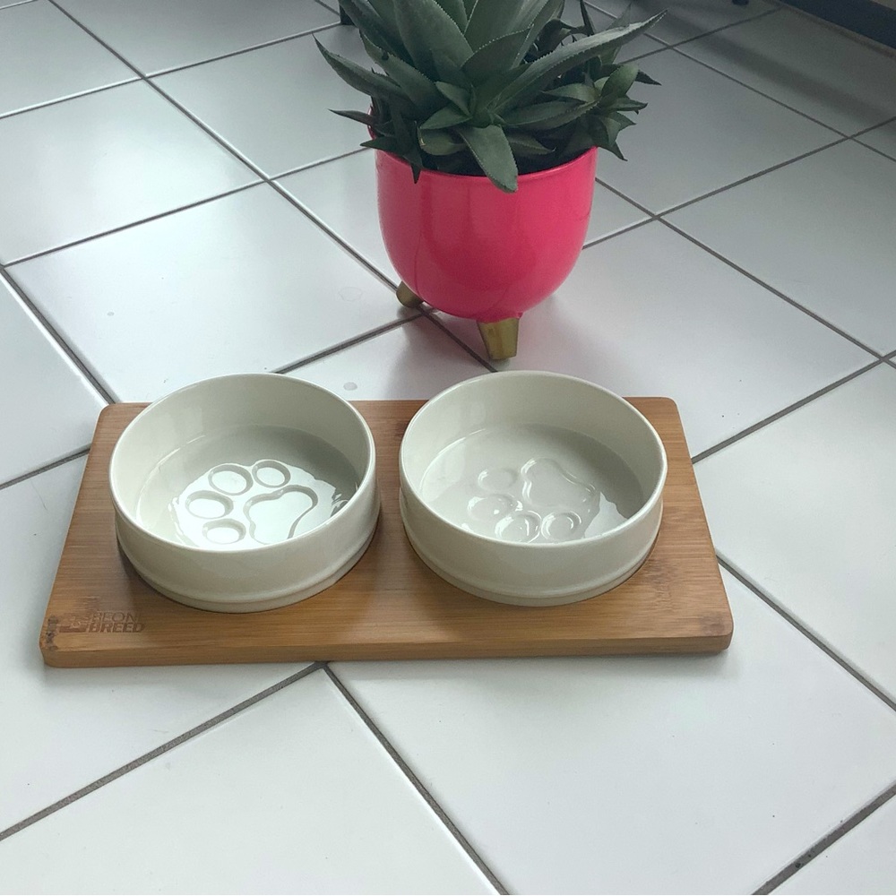 BOWLS FOR CAT AND DOG